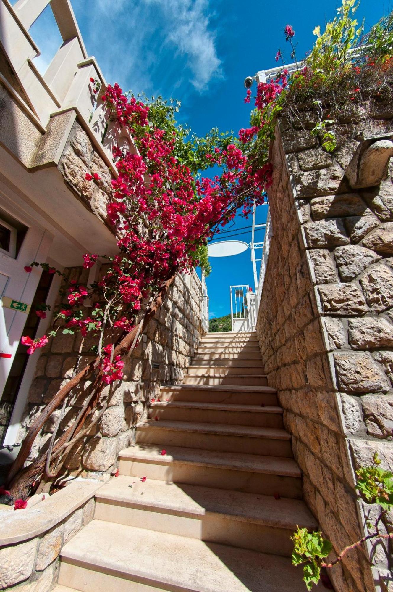 Villa Ana 2 Zaton  Kültér fotó